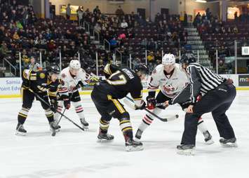 The Sarnia Sting defeat the Niagara IceDogs 5-4 in OT. February 10, 2018. (Photo courtesy of Metcalfe Photography)