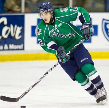 Ripley's Garrett Meurs played with the OHL's Plymouth Whalers.  (Submitted photo)
