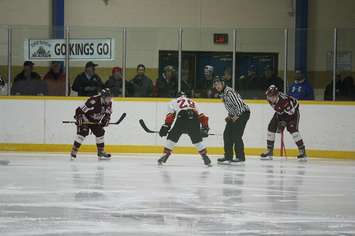 Second game of the playoffs. Blenheim Blades vs. Dresden Kings. February 6, 2017. (Photo by Natalia Vega)