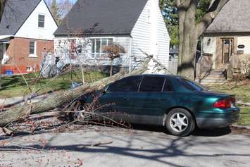Wind damage on Durham St. in Windsor, March 8, 2017. (Photo by Maureen Revait) 