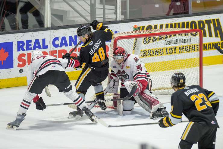 Guelph Storm at Sarnia, February 12, 2025. Photo by Metcalfe Photography. 