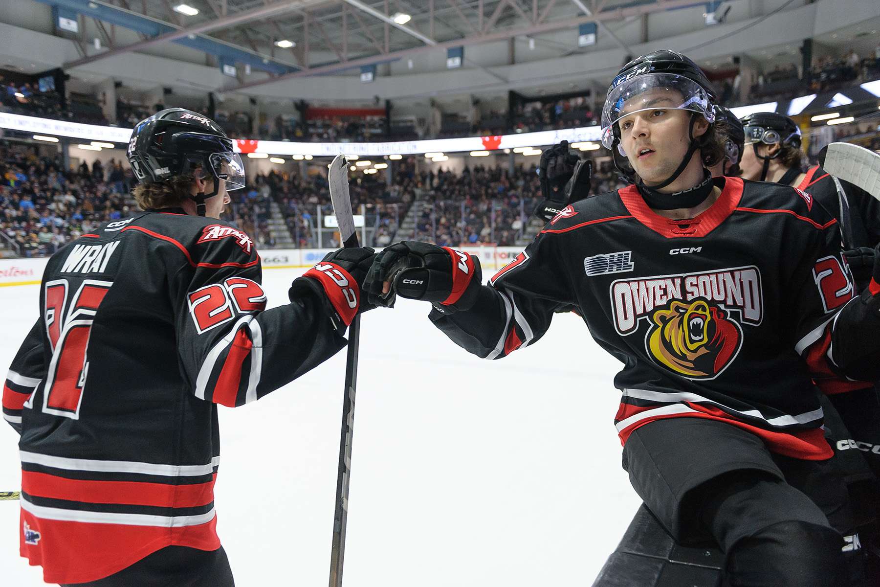 Owen Sound 'attacks' Sting in school day game