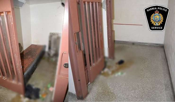 Cell damage. Photo courtesy of the Sarnia Police Service. 