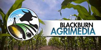 Blackburn Agrimedia 