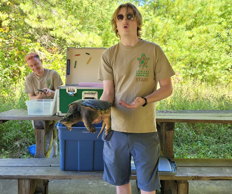 Bognor Marsh turtle conservation efforts celebrated