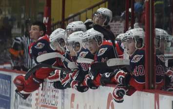 Windsor Spitfires' players lean over the bench during a home game, March 6, 2014. (photo by Mike Vlasveld)