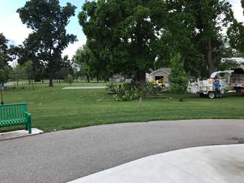 Storm damage at Brander Park. July, 2017 (Photo courtesy of St. Clair Township.)