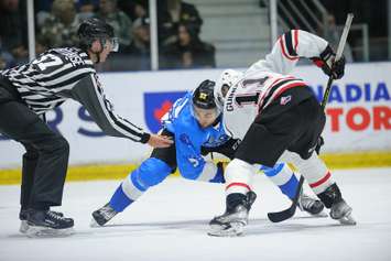 The Sarnia Sting taking on the Owen Sound Attack on Lions Night @ The Sting.  12 October 2022. (Metcalfe Photography) 