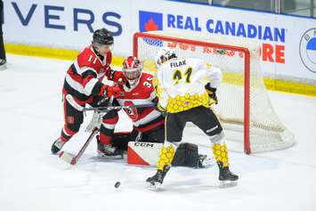 The Sarina Sting host the Ottawa 67's. 5 February 2023. (Metcalfe Photography)