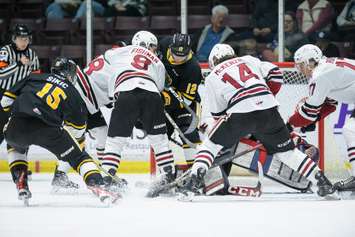 The Sarnia Sting hosting the Guelph Storm from the Hive. 15 February 2023. (Metcalfe Photography)