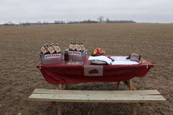 Groundbreaking ceremony at Red Barn Brewing Company in Blenheim on Tuesday, April 30, 2019.  (Photo by Allanah Wills)