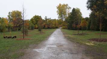 Local dignitaries gather to celebrate completion of the Howard Watson Nature Trails Gateway Project off Michigan Ave.  October 20, 2016 BlackburnNews.com photo by Leeya Morrow.