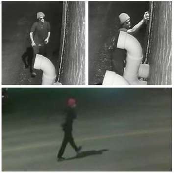 (Photo courtesy of Chatham-Kent police)