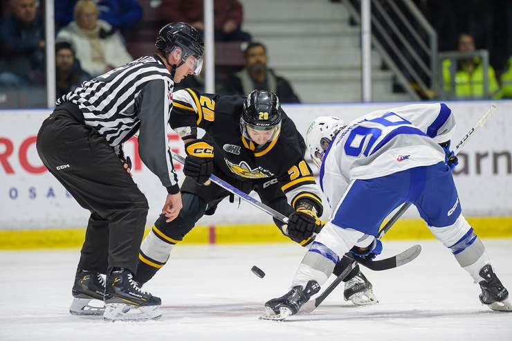 Sarnia Sting against Sudbury Wolves on January 13, 2024 (Photo by Metcalfe Photography)