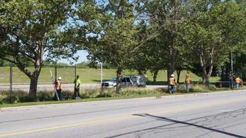 Centennial Park fencing comes down July 16, 2015 (BlackburnNews.com Photo by Briana Carnegie)