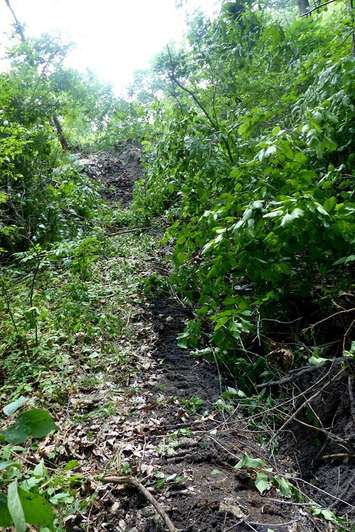An excavator was driven into the Ojibway Nature Reserve in Windsor. (Photo courtesy Dan A. Ceti via Friends of Save Ojibway Facebook page)