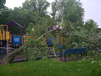 Tree damages playground at Seacliff Park in Leamington, June 10, 2020. (Photo courtesy of Krystal Harris)