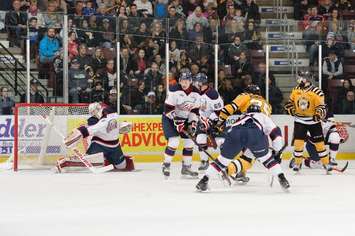 The Sarnia Sting vs. Saginaw Spirit at the SSEC Feb 15/16  (Photo Courtesy of Metcalfe Photography)