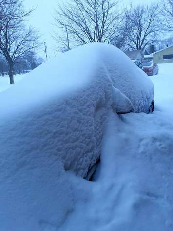 Photo courtesy Sue Ritchie