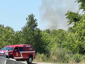 Brush fire in Sarnia. July 2022. (Photo courtesy Greg Grimes)