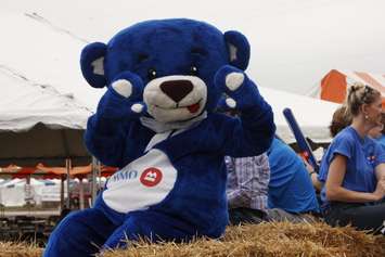 The IPM 2018 parade featured floats from many sponsors, vendors and city officials. (Photo by Angelica Haggert)