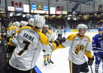 Sarnia Sting vs Mississauga Steelheads. October 14, 2018. (photo by Metcalfe Photography)