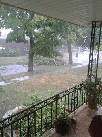 Tree damage is seen from a home on Raymo Rd. in Windsor, August 6, 2018. Photo by Kristy Walker/Facebook. Used with permission.