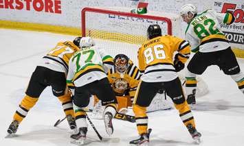 Sting goaltender Ethan Langevin freezes a puck during a game against the London Knights from Sarnia. 1 February 2020. (Photo by Metcalfe Photography)