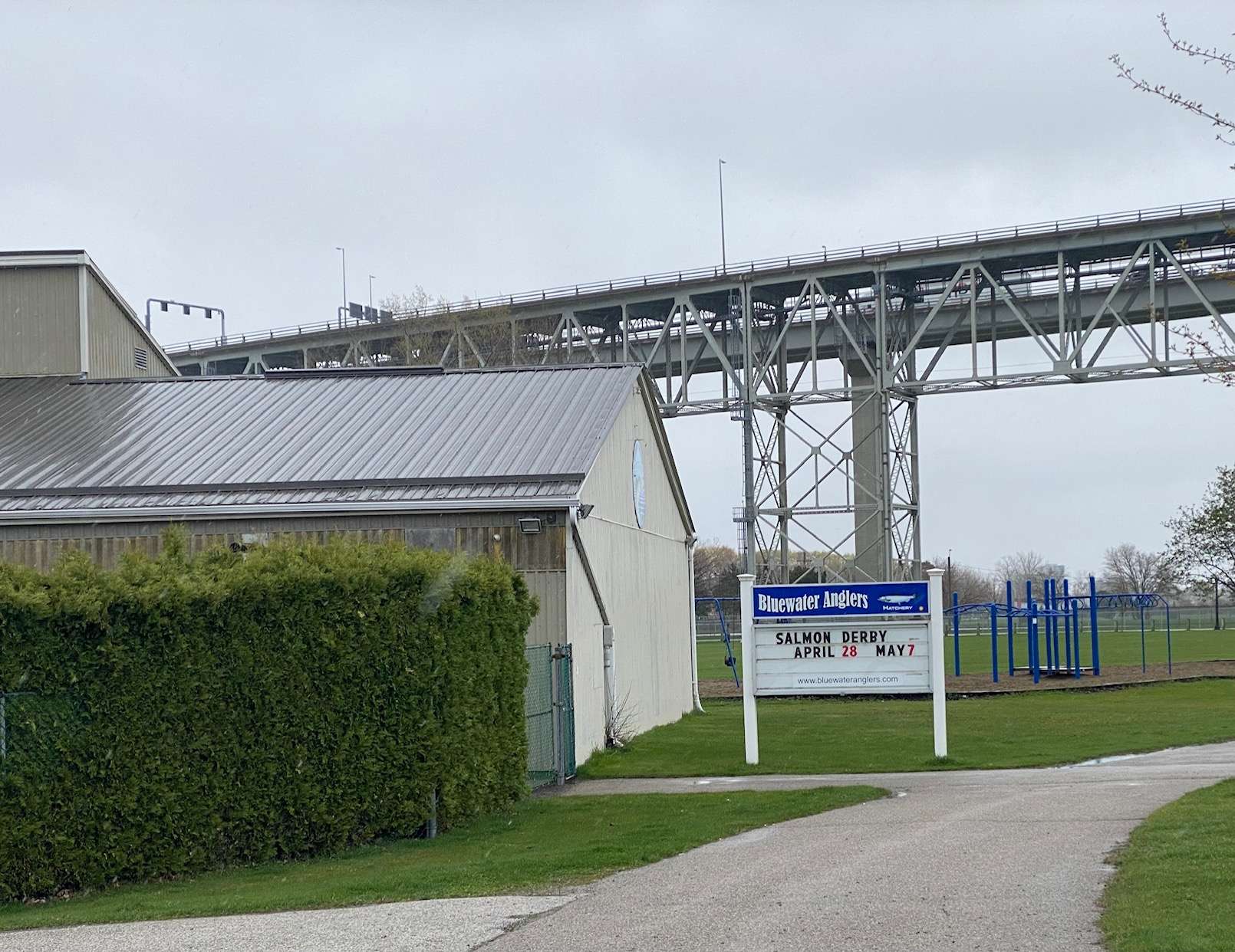 Sarnia angler leading at annual salmon derby