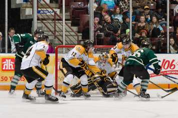 Action around the Sting net in London's 5-2 win at the RBC Centre Dec 11, 2014. (Photo courtesy of Metcalfe Photography)
