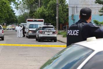 Police investigate an apparent homicide in the 500 block of Brant St., June 4, 2015. (Photo by Jason Viau)