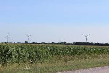 Wind farms near Wallaceburg, at the intersection of St. Clair Rd. and Heritage Line. July 19, 2016. (Photo by Natalia Vega) 