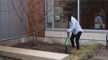 Donor Joanne Rivard took part in an earth-turning ceremony Thursday with her transplant recipient Joanna Hayter. April 21, 2016 (BlackburnNews.com Photo by Briana Carnegie)