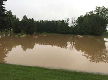 Flooding in Walton. (Photo by Darryl Hastings)