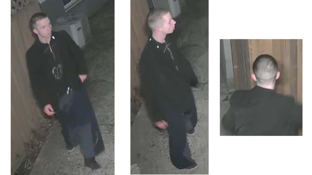 Police looking to identify suspect in attempted break and enter