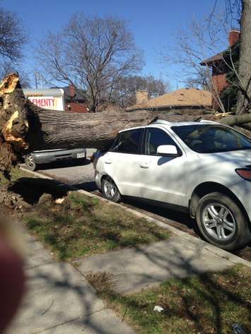 Submitted by Jody Beaudette