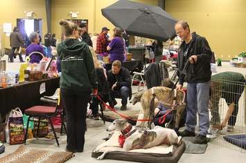 Southwestern Ontario Pet Expo at the John D. Bradley Convention Centre in Chatham. March 11, 2017. (Photo by Natalia Vega)