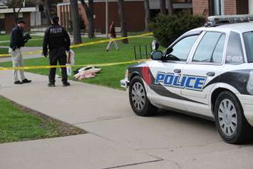 Windsor police investigate a stabbing in the 400 block of Glengarry Ave., April 22, 2015. (Photo by Jason Viau)