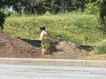 Brush fire in Sarnia. July 2022. (Photo courtesy Greg Grimes)