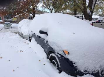 Snow in Sarnia. November 12, 2019 Photo by Dave Dentinger