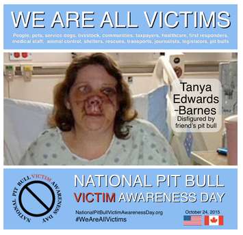 (Photo courtesy of  National Pit Bull Victim Awareness coalition)