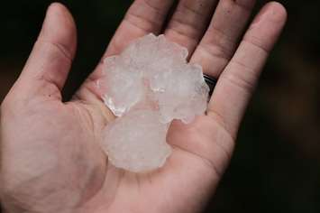 Large hail in Windsor, June 10, 2020. (Photo courtesy of Tom Reid)