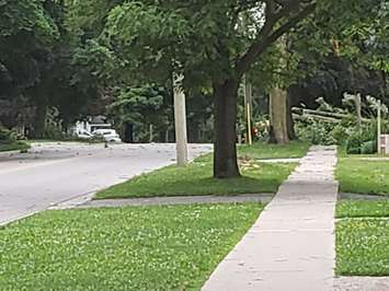 Large branches blocked roadways after a storm on July 19, 2020. (Photo by Steve Sabourin)