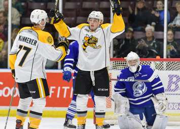 Sarnia Sting vs Mississauga Steelheads. October 14, 2018. (photo by Metcalfe Photography)
