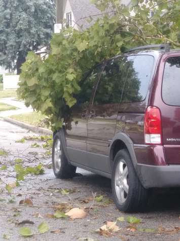 Storm damage is seen on George Ave. in Windsor, August 6, 2018. Submitted photo. Used with permission.