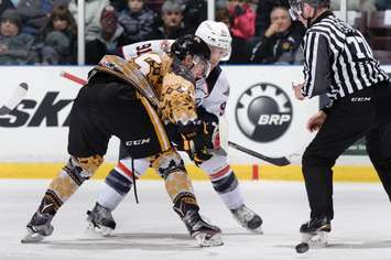 Sarnia faces off against Windsor for 'Ugly Christmas Sweater' night. December 11, 2015. (Photo by Metcalfe Photography)