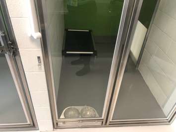 Inside the new animal shelter in Chatham. May 23, 2019. (Photo courtesy of Sophie Marvell and Kiana Mailloux)