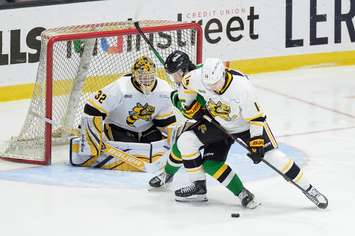 London Knights at Sarnia Sting, October 26, 2025. Photo by Metcalfe Photography. 