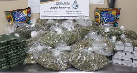 Traveller fined $56K after cannabis, vapes seized at tunnel