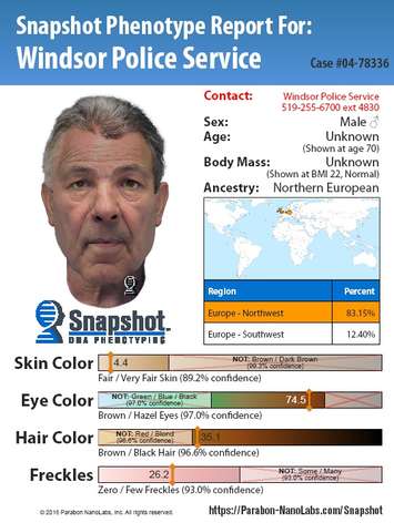 DNA composite of the person of interest in  Ljubica Topic’s murder. (Provided by Windsor Police) 